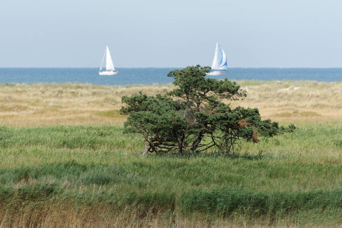 IMG_0630_DxO