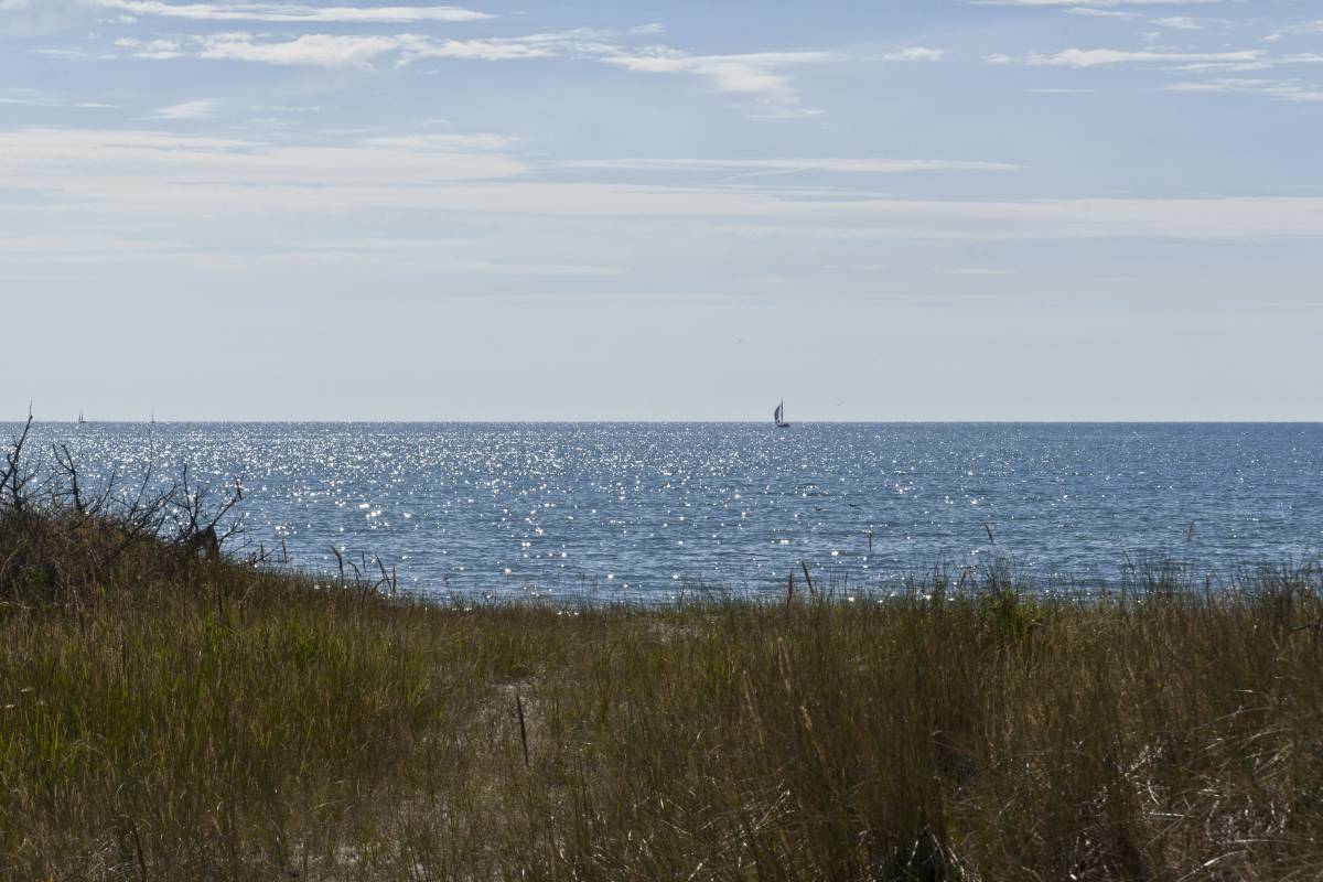 IMG_0801p