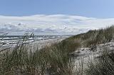 IMG_0106p