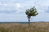 IMG_0126p