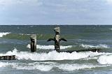 IMG_0129p