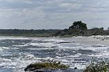 IMG_0132p