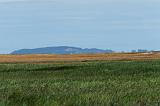 IMG_0167_DxO