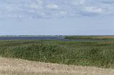 IMG_0171p