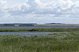 IMG_0172p