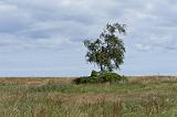 IMG_0190p