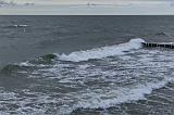 IMG_0403p