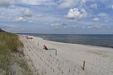 IMG_0445p