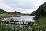IMG_0498p
