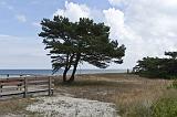 IMG_0502p