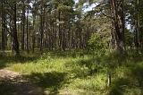 IMG_0544p