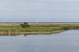 IMG_0627p