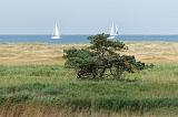 IMG_0630_DxO