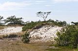 IMG_0662p