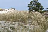 IMG_0673p
