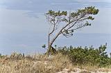 IMG_0675p