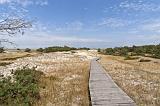 IMG_0683p