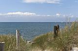 IMG_0691p
