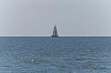 IMG_0708p