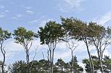 IMG_0750p