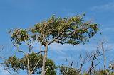 IMG_0766_DxO