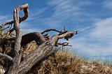 IMG_0788_DxO