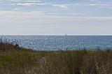 IMG_0801p