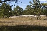 IMG_0821p