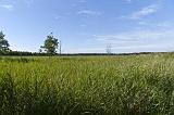 IMG_0844p