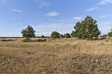 IMG_0845p