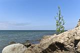 IMG_0919p