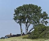 IMG_1002p