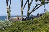IMG_1031p