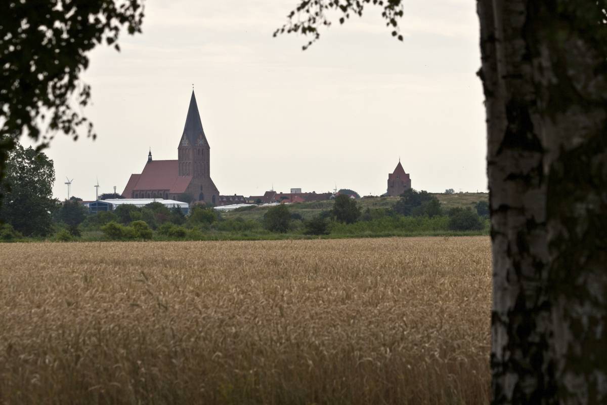 IMG_1643p