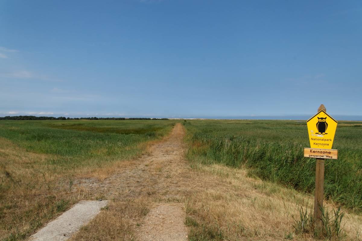 IMG_1959_DxO