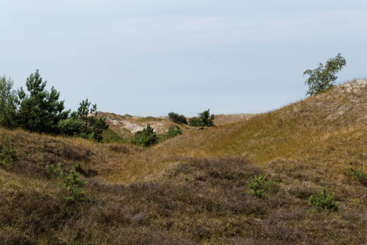 IMG_1976_DxO