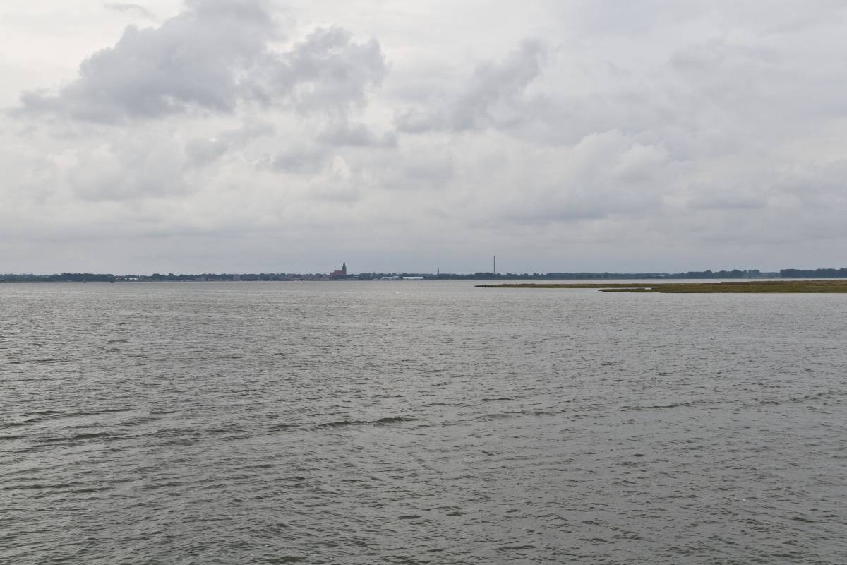 IMG_2123p