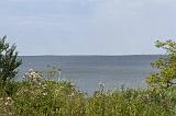 IMG_1495p