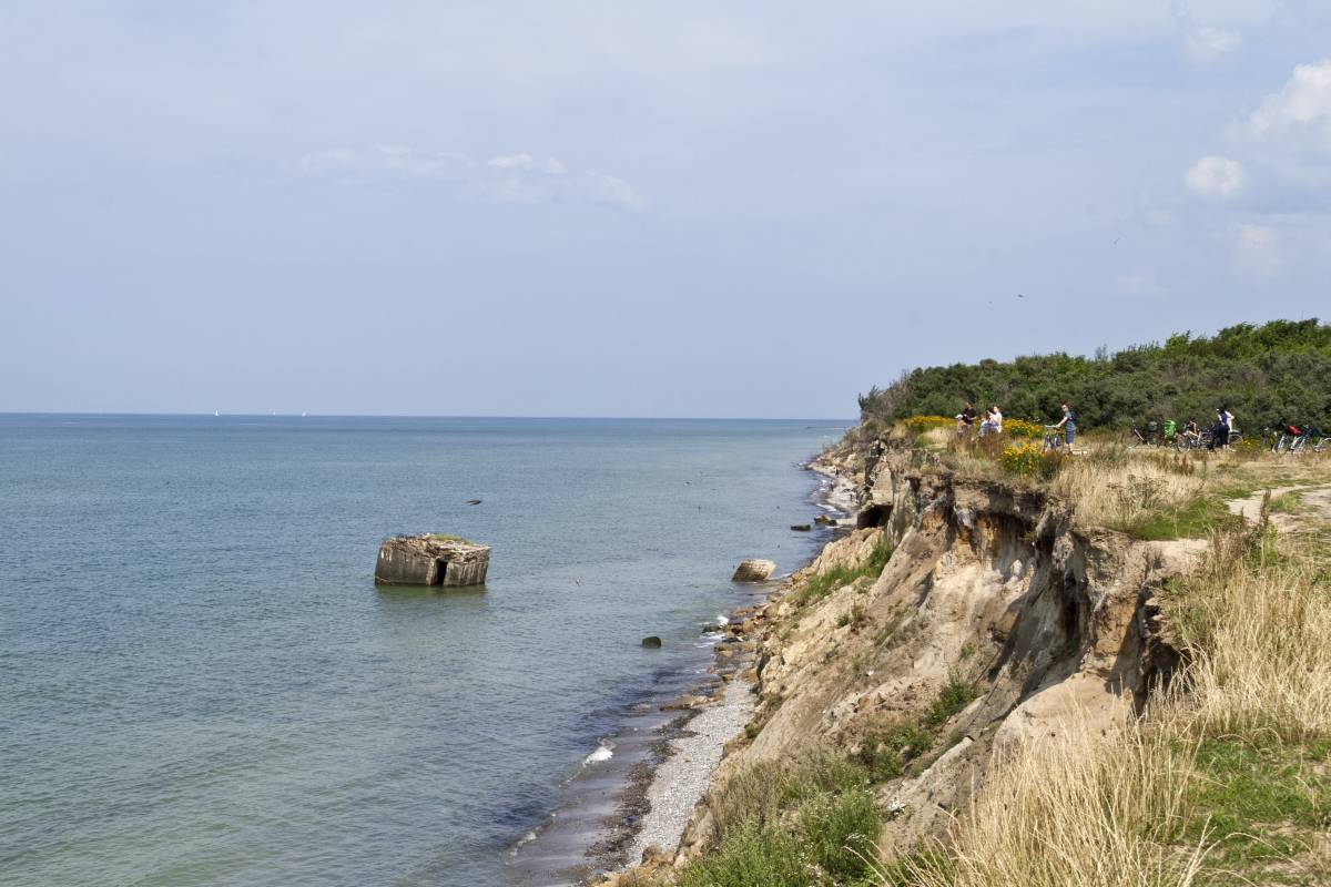 IMG_2698p