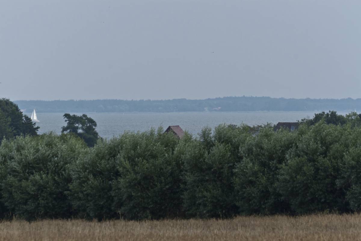 IMG_2895p