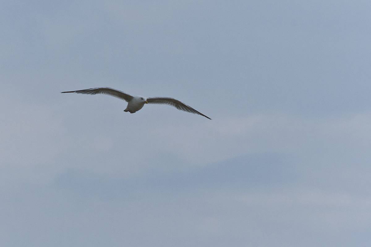 IMG_3150p