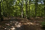 IMG_2365p