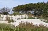 IMG_2398p