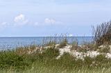 IMG_2403p
