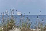 IMG_2407p