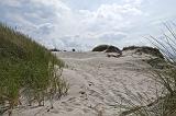 IMG_2423p