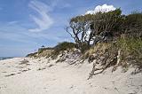 IMG_2436p