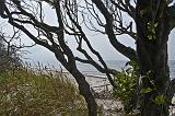 IMG_2443p