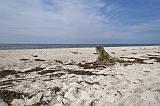 IMG_2455p