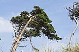 IMG_2477p